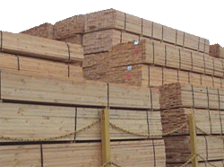 HT Lumber